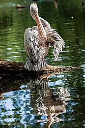 Xbox将在本月推出一款全新更昂贵的无线头戴耳机